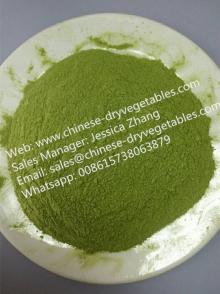  dehydrated   green  onion powder 60 mesh