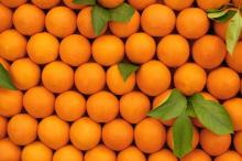 Fresh Oranges