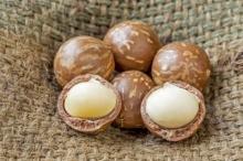  Macadamia  nut in  shell ,  macadamia  nut kernel