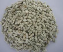Premium Quality Cotton Seeds