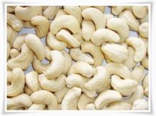 Cashew nuts kernels