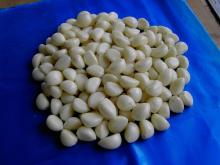 IQF garlic clove