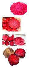 Pure Beet root extract nitrate 2.5% (Beet root extract)