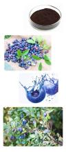 Organic bilberry extract Anthocyanidin 1%~25%