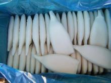 Squid Tube
