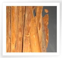 Cinnamon split