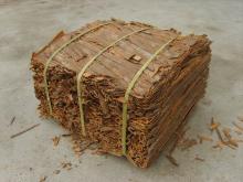 Cassia broken