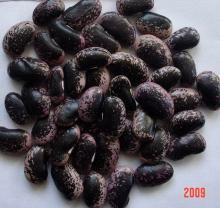 Yunnan large black speckled kidney beans