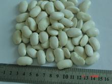 Yunnan large white kidney beans