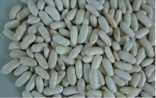 Middle white kidney beans