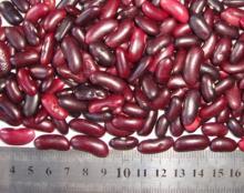 Dark red kidney beans