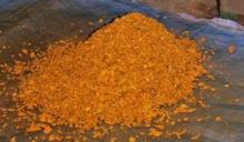 Fresh Turmeric Roots