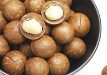 Macadamia nuts