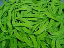 Snow pea