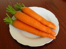 new crop fresh red carrot