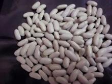 WHITE KIDNEY BEANS