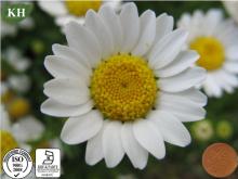  Feverfew   Extract   Parthenolide  0.2% ~0.8%