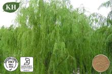 White  Willow   Bark   Extract  Salicin 15% ~98%