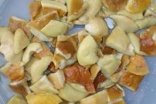Yunnan Boletus Edulis Caps in Brine