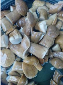 Boletus Edulis in Brine Whole
