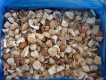  Frozen  Boletus Edulis  Cube s