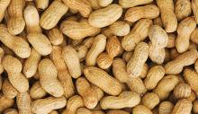 PeaNuts / Melon Seeds