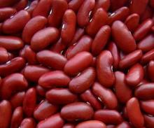 canned red kidney beans types of kidney beans