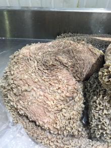 Beef tripe