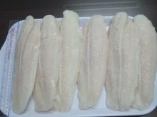 Frozen   Fish   Fillets   Pangasius 