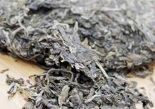 puer  tea  raw/sheng/ unfermented 