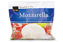 Cheese Mozzarella Goat Cheese