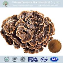 Polysaccharides 10%-50% for Coriolus Versicolor Extract Anti-cancer