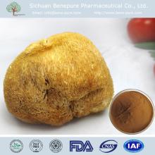 Best price of Hericium erinaceus Beta 1,3/1,6 D glucan 10%,20%,40% UV