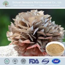 Anti cancer,CAS 37339-90-5, 10%~50% Polysaccharides,Pharmaceutical Grade Grifola frondosa Grifolan