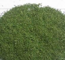 dill tips