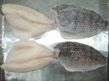 frozen tilapia skin on