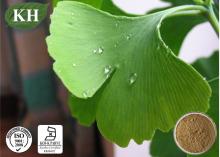 Kingherbs's 100% Natural Ginkgo Biloba Extract