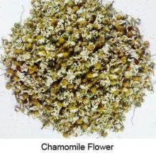 CHAMOMILE