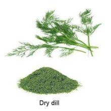 Dry Dill