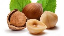  Hazelnut 