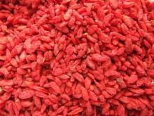 dried fruit goji berry export with cheap goji berry price
