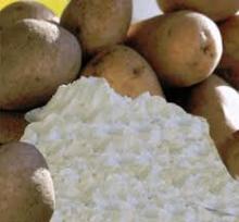 High Quality  Potato  Flour ,  Potato  Starch ,  Potato  Pellet and Corn Flour for Sale