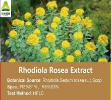 Rhodiola Rosea Extract