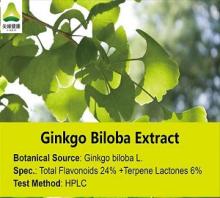 Ginkgo Biloba Extract