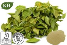 100% Natural Buchu Leaf Powder; 4: 1 Buchu Leaf Extract