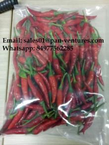 FROZEN  RED   HOT   CHILI / VIETNAM  HOT   CHILI /  HOT   CHILI  PEPPER/  HOT  SPICES/ FROZEN VEGETABLES