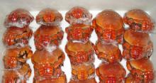 Frozen spanner crabs