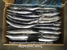 2017cheaper seafrozen pacific  saury  for canning