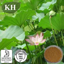 Lotus Leaf Extract 2%-98%  Nuciferine  by HPLC