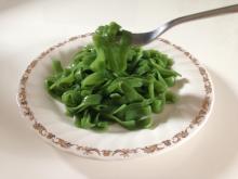 Konjac Pasta Spinach